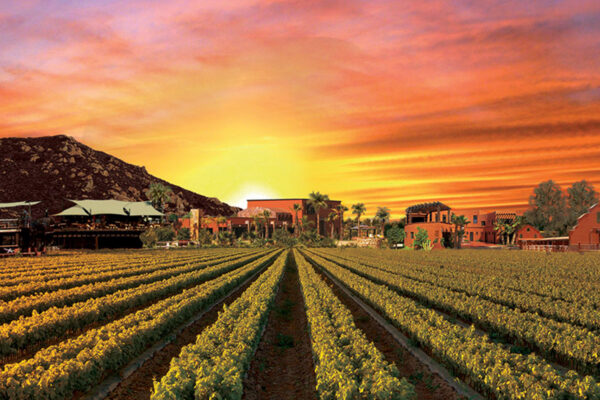 Valle de Guadalupe